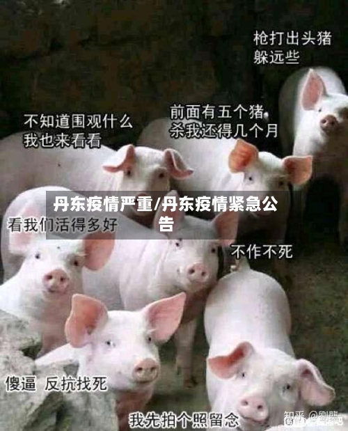 丹东疫情严重/丹东疫情紧急公告-第1张图片
