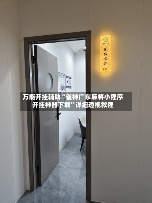 万能开挂辅助“雀神广东麻将小程序开挂神器下载”详细透视教程-第3张图片