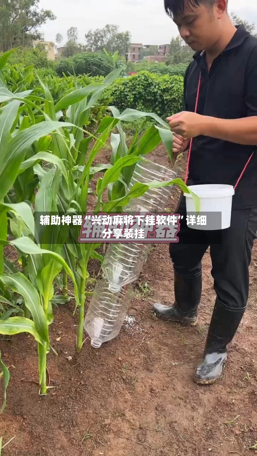 辅助神器“兴动麻将下挂软件”详细分享装挂-第2张图片