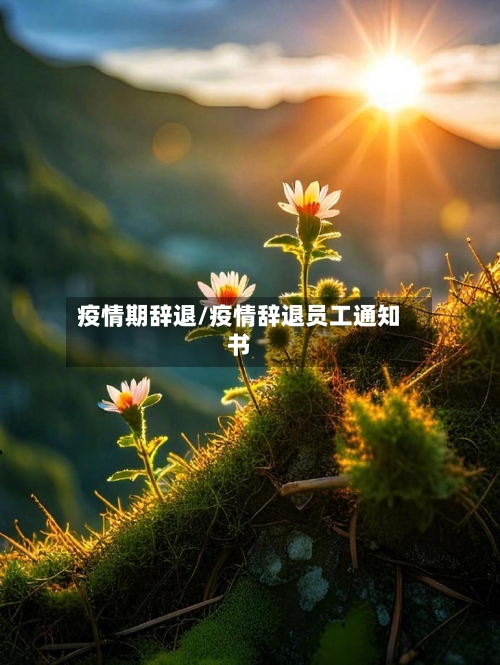 疫情期辞退/疫情辞退员工通知书