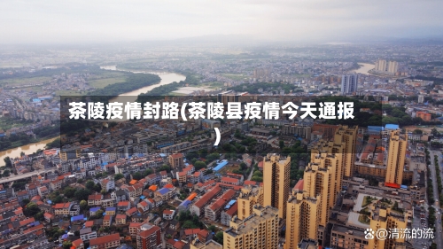 茶陵疫情封路(茶陵县疫情今天通报)