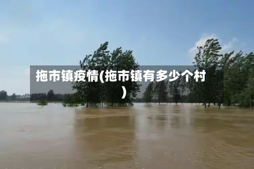 拖市镇疫情(拖市镇有多少个村)