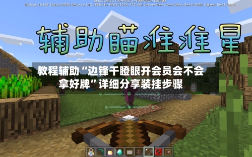 教程辅助“边锋干瞪眼开会员会不会拿好牌”详细分享装挂步骤