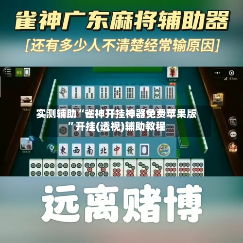 实测辅助“雀神开挂神器免费苹果版”开挂(透视)辅助教程