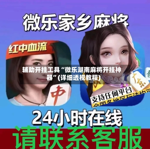辅助开挂工具“微乐湖南麻将开挂神器”(详细透视教程)