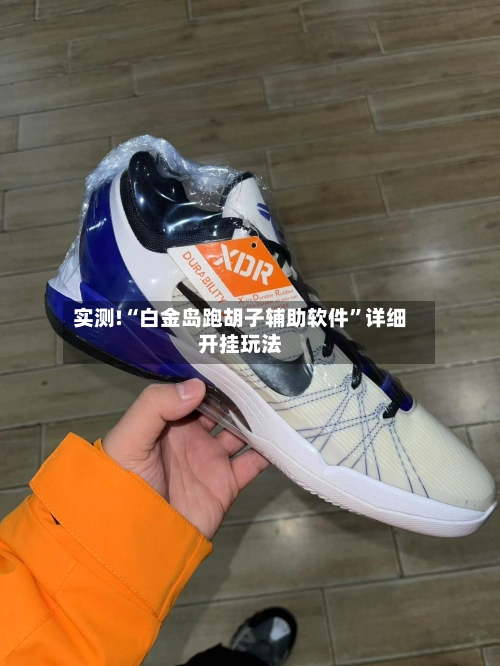 实测!“白金岛跑胡子辅助软件”详细开挂玩法