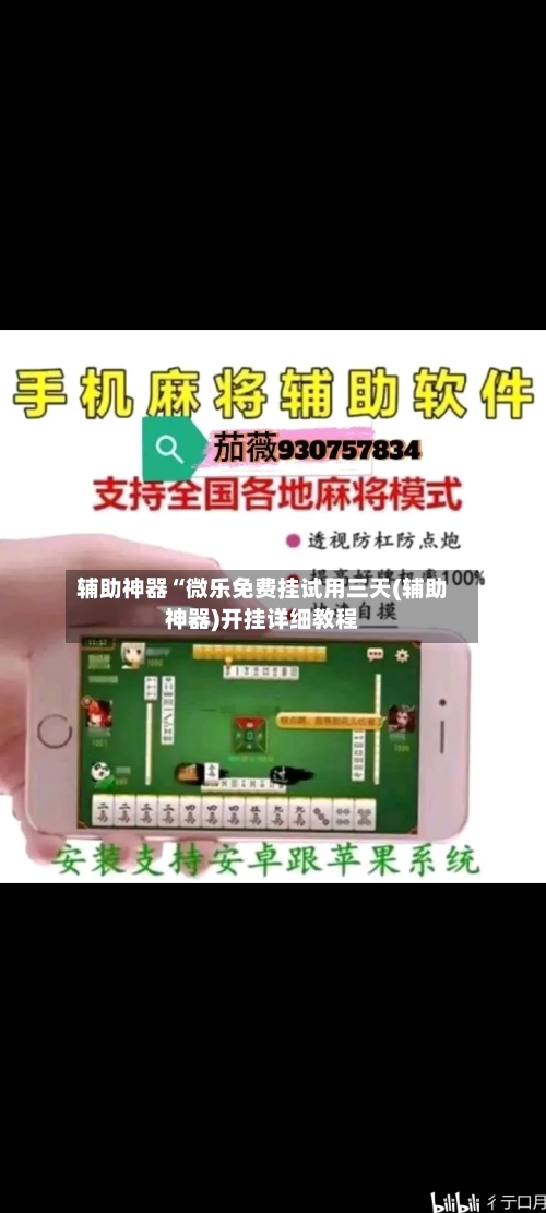 辅助神器“微乐免费挂试用三天(辅助神器)开挂详细教程-第1张图片