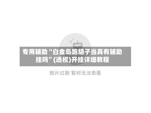 专用辅助“白金岛跑胡子当真有辅助挂吗”(透视)开挂详细教程