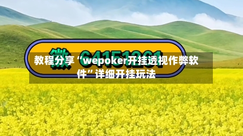 教程分享“wepoker开挂透视作弊软件”详细开挂玩法-第1张图片