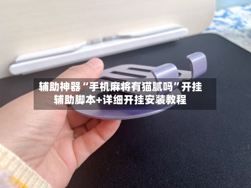 辅助神器“手机麻将有猫腻吗”开挂辅助脚本+详细开挂安装教程-第3张图片