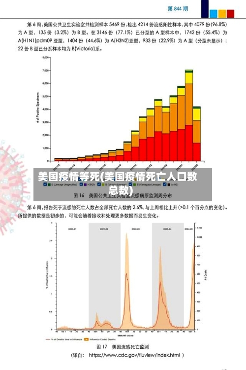 美国疫情等死(美国疫情死亡人口数总数)