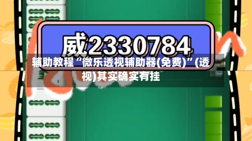 辅助教程“微乐透视辅助器(免费)”(透视)其实确实有挂