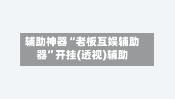 辅助神器“老板互娱辅助器”开挂(透视)辅助-第3张图片