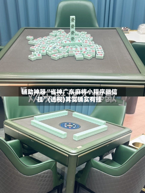 辅助神器“雀神广东麻将小程序微信挂”(透视)其实确实有挂-第3张图片