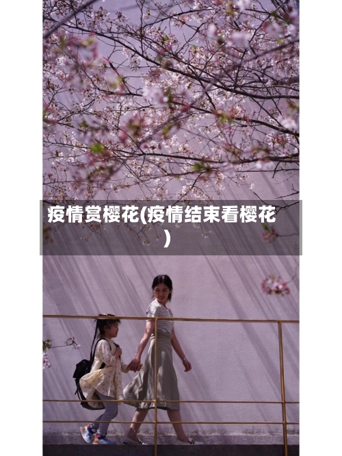疫情赏樱花(疫情结束看樱花)
