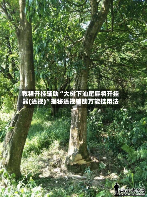 教程开挂辅助“大树下汕尾麻将开挂器(透视)”揭秘透视辅助万能挂用法-第1张图片