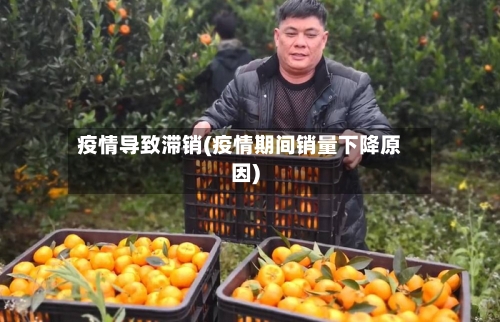 疫情导致滞销(疫情期间销量下降原因)