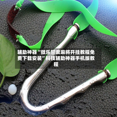 辅助神器“微乐甘肃麻将开挂教程免费下载安装	”科技辅助神器手机版教程-第1张图片
