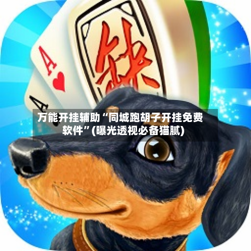 万能开挂辅助“同城跑胡子开挂免费软件”(曝光透视必备猫腻)-第1张图片
