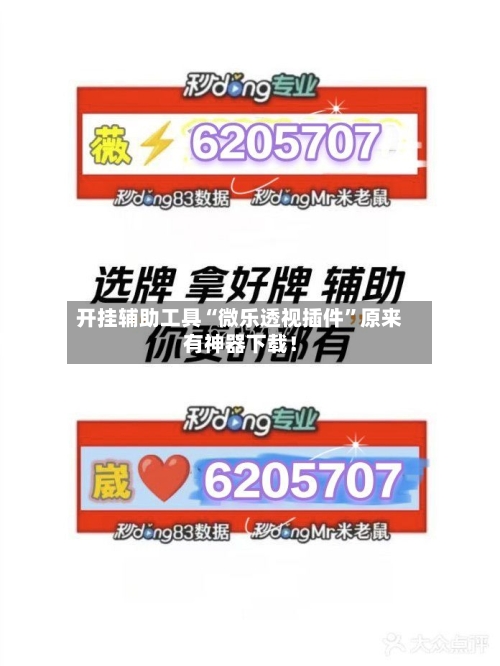 开挂辅助工具“微乐透视插件”原来有神器下载！