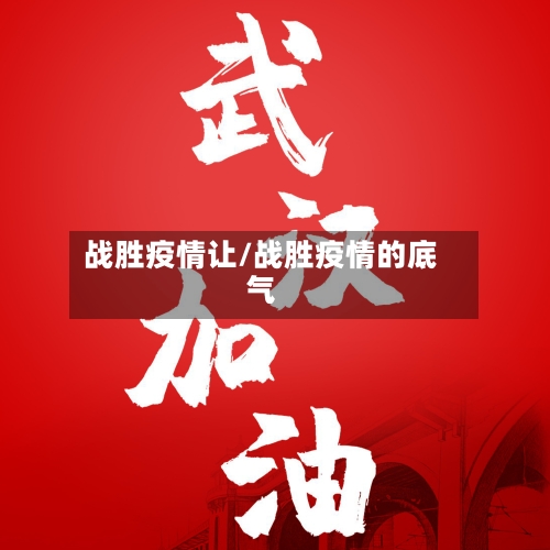 战胜疫情让/战胜疫情的底气
