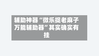 辅助神器“微乐捉老麻子万能辅助器”其实确实有挂