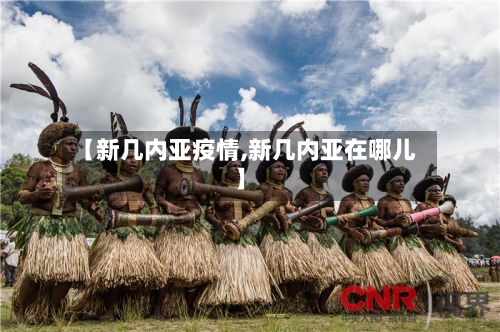 【新几内亚疫情,新几内亚在哪儿】