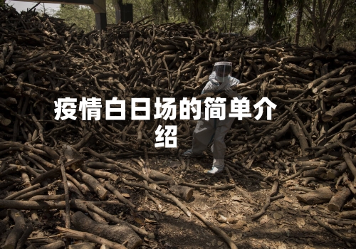 疫情白日场的简单介绍