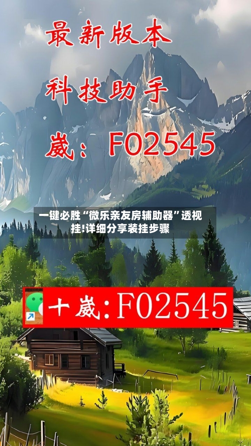 一键必胜“微乐亲友房辅助器”透视挂!详细分享装挂步骤-第2张图片