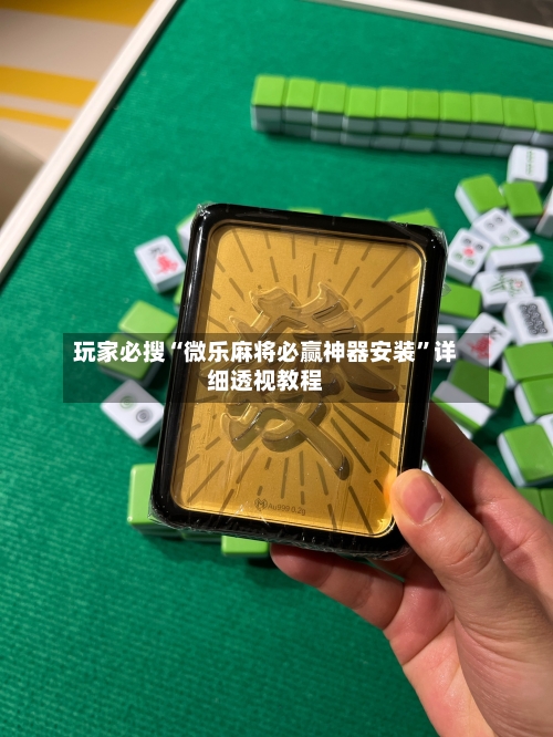 玩家必搜“微乐麻将必赢神器安装”详细透视教程
