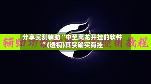 分享实测辅助“中至窝龙开挂的软件	”(透视)其实确实有挂-第2张图片