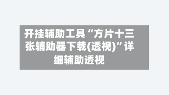 开挂辅助工具“方片十三张辅助器下载(透视)	”详细辅助透视-第2张图片
