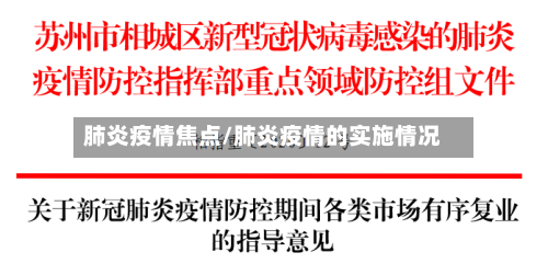 肺炎疫情焦点/肺炎疫情的实施情况