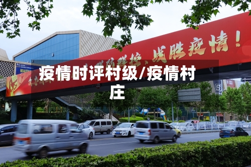 疫情时评村级/疫情村庄