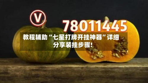 教程辅助“七星打牌开挂神器”详细分享装挂步骤!