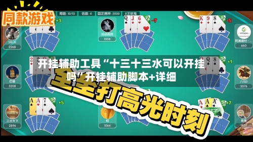 开挂辅助工具“十三十三水可以开挂吗”开挂辅助脚本+详细-第1张图片