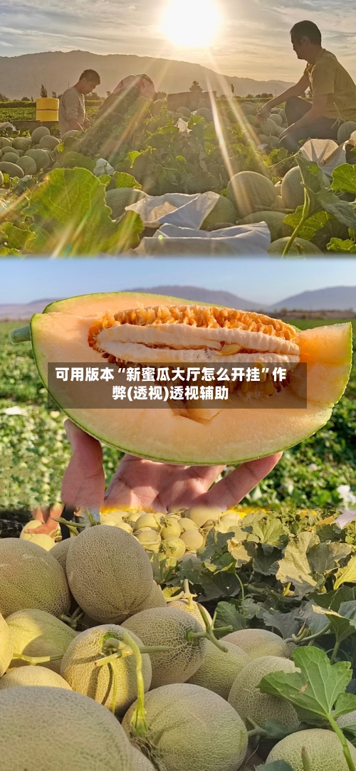 可用版本“新蜜瓜大厅怎么开挂”作弊(透视)透视辅助