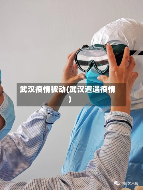 武汉疫情被动(武汉遭遇疫情)-第1张图片