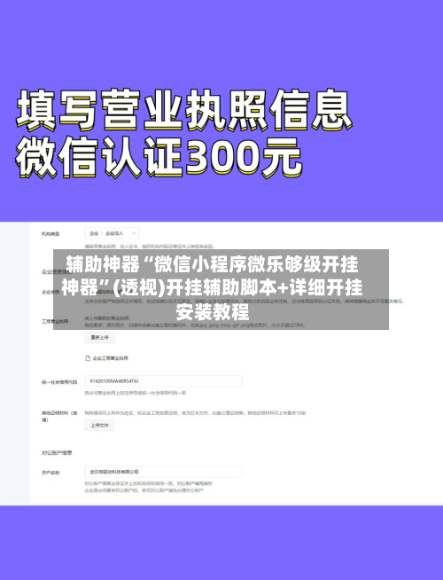 辅助神器“微信小程序微乐够级开挂神器”(透视)开挂辅助脚本+详细开挂安装教程-第3张图片
