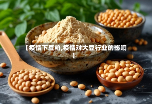 【疫情下豆粕,疫情对大豆行业的影响】