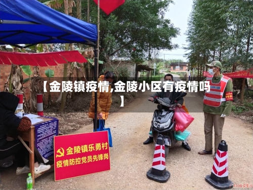 【金陵镇疫情,金陵小区有疫情吗】