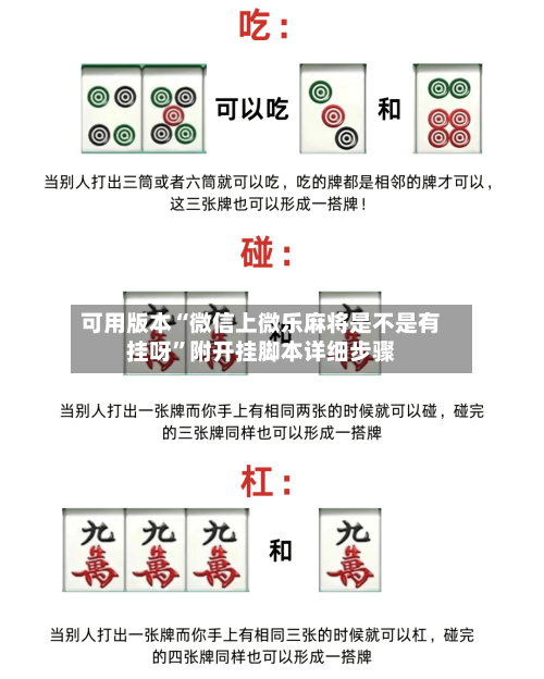 可用版本“微信上微乐麻将是不是有挂呀	”附开挂脚本详细步骤-第2张图片