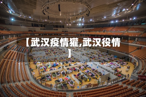 【武汉疫情獾,武汉役情】