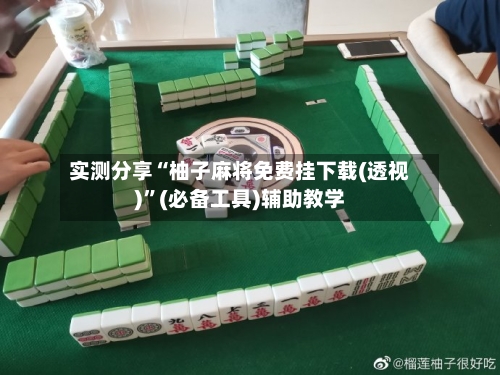 实测分享“柚子麻将免费挂下载(透视)”(必备工具)辅助教学