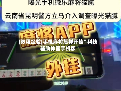 [教程经验]手机麻将怎样开挂”科技辅助神器手机版-第3张图片