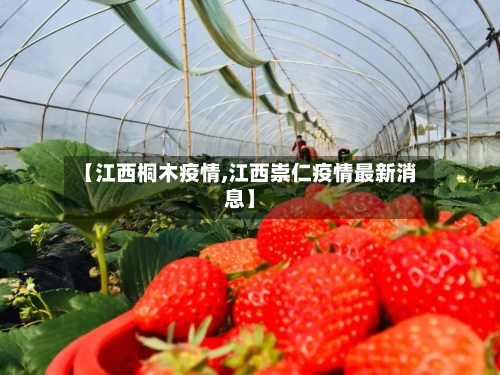 【江西桐木疫情,江西崇仁疫情最新消息】-第1张图片