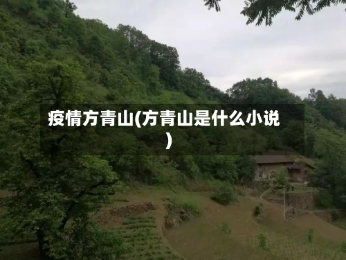 疫情方青山(方青山是什么小说)