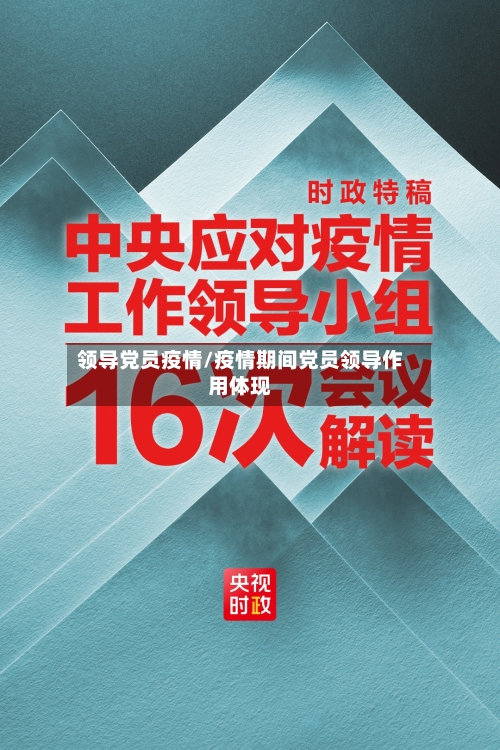 领导党员疫情/疫情期间党员领导作用体现