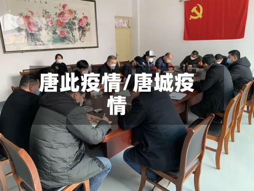唐此疫情/唐城疫情