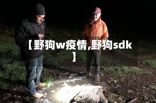 【野狗w疫情,野狗sdk】